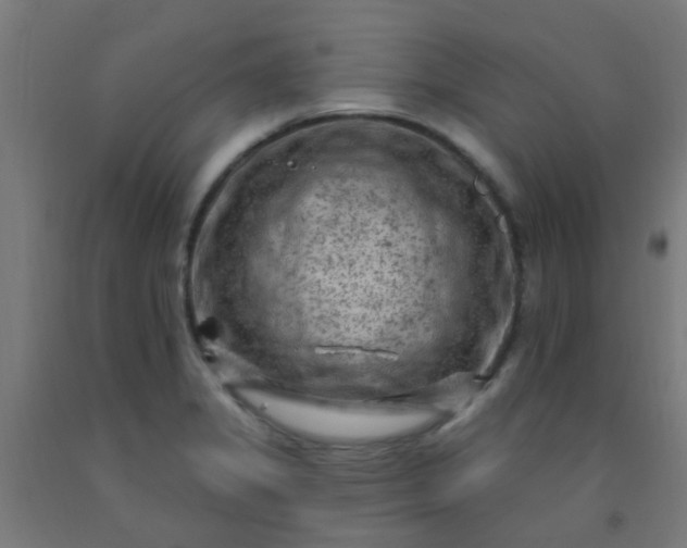 X0000092301325200709281318