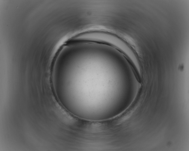 X0000092301326200709281318