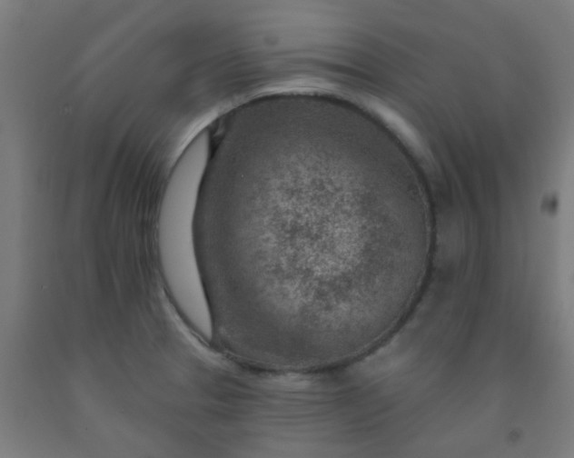 X0000092301329200709281318