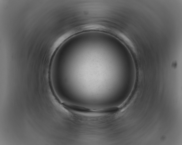 X0000092301330200709281318