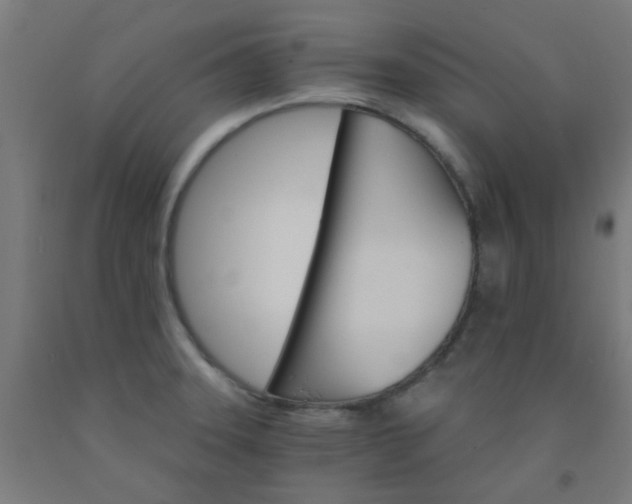 X0000092301331200709281318