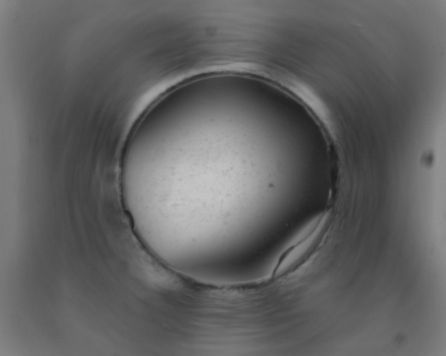 X0000092301332200709281318