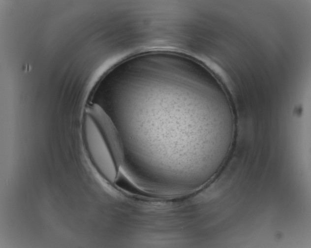 X0000092301333200709281318