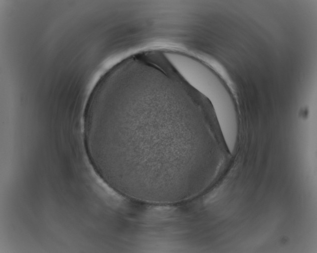 X0000092301335200709281318