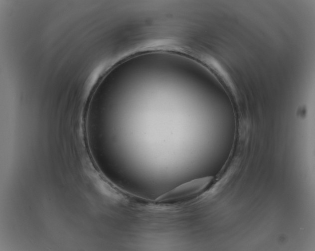 X0000092301336200709281318