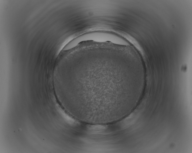 X0000092301337200709281318