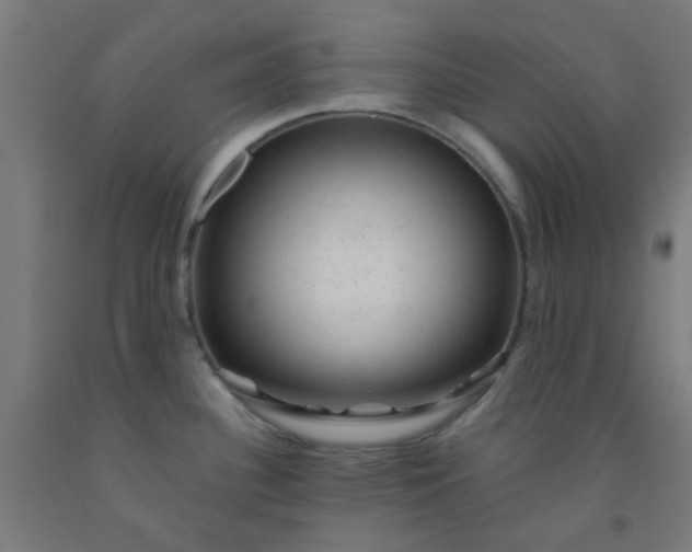 X0000092301340200709281319