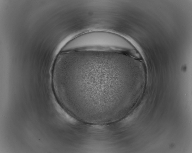 X0000092301341200709281319