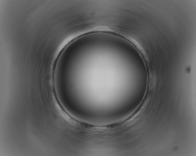 X0000092301342200709281319