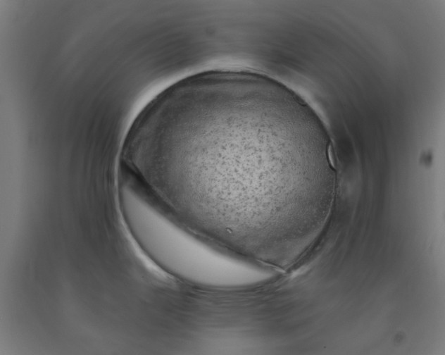 X0000092301343200709281319