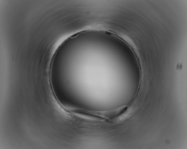 X0000092301344200709281319