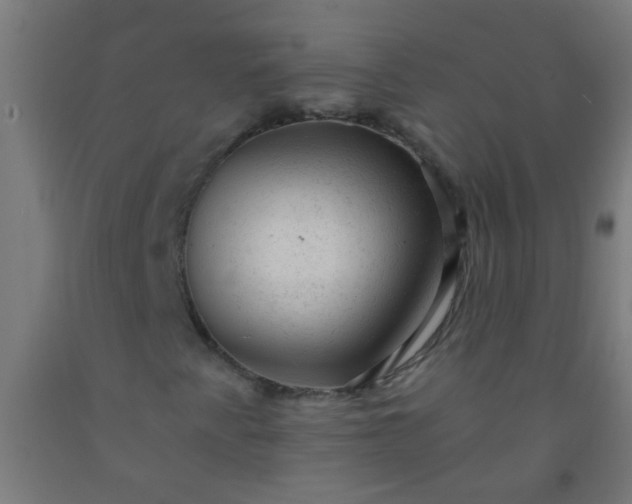 X0000092301345200709281318