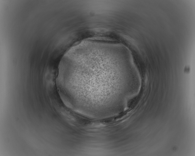 X0000092301346200709281318