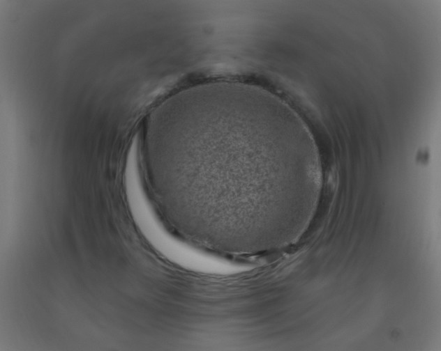 X0000092301348200709281318