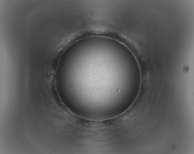 X0000092301349200709281318