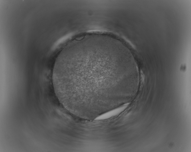 X0000092301351200709281318