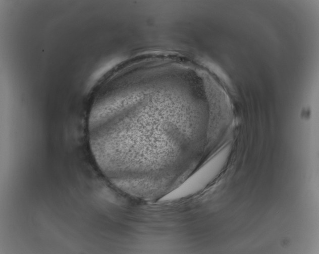 X0000092301352200709281318