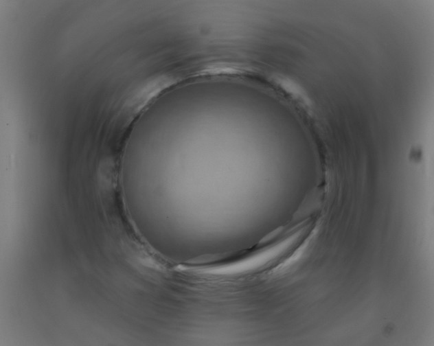 X0000092301353200709281318