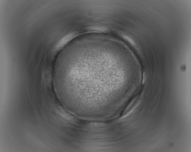 X0000092301354200709281318