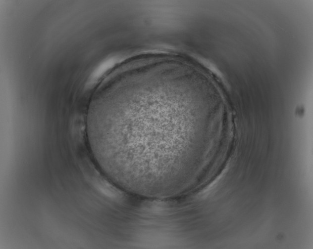 X0000092301355200709281318