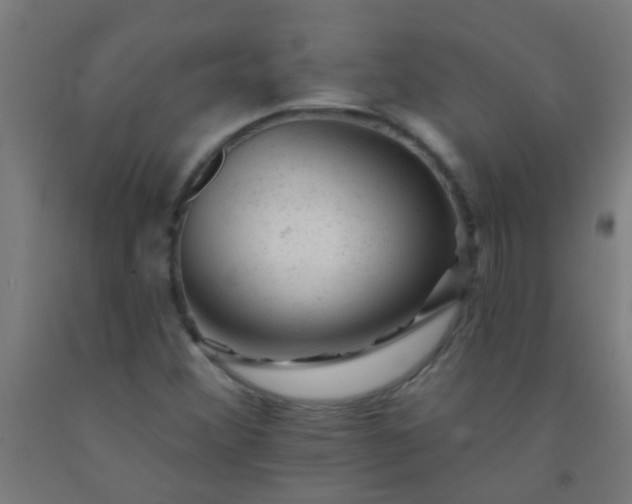 X0000092301356200709281318