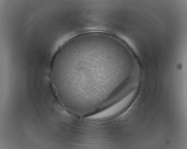 X0000092301357200709281318