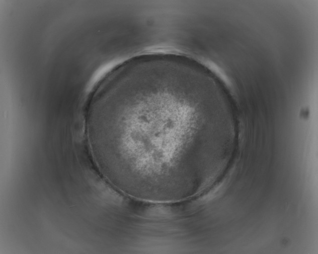 X0000092301358200709281318