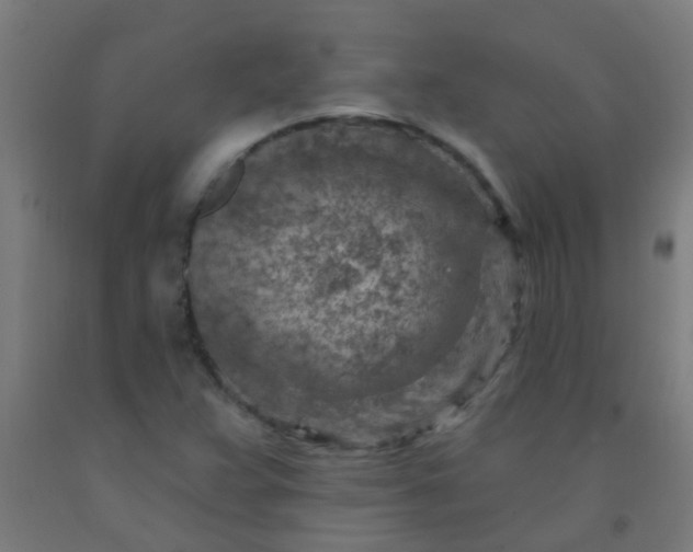 X0000092301359200709281318