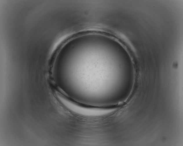 X0000092301360200709281318