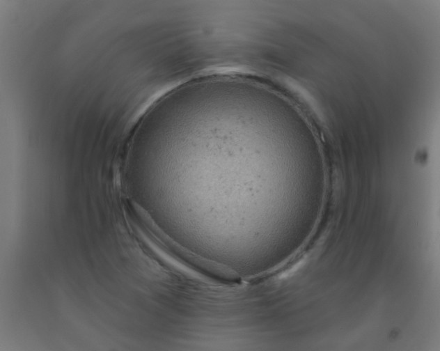 X0000092301361200709281318