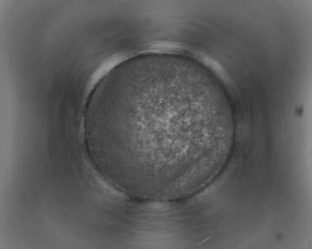 X0000092301362200709281318