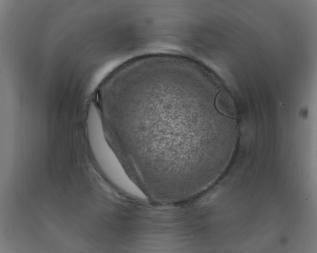 X0000092301363200709281318