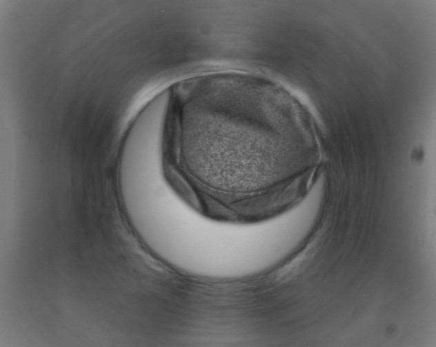 X0000092301365200709281318