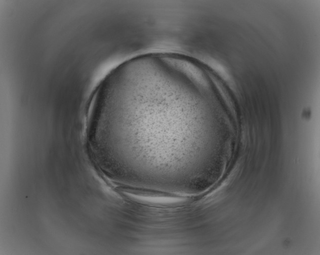 X0000092301366200709281318