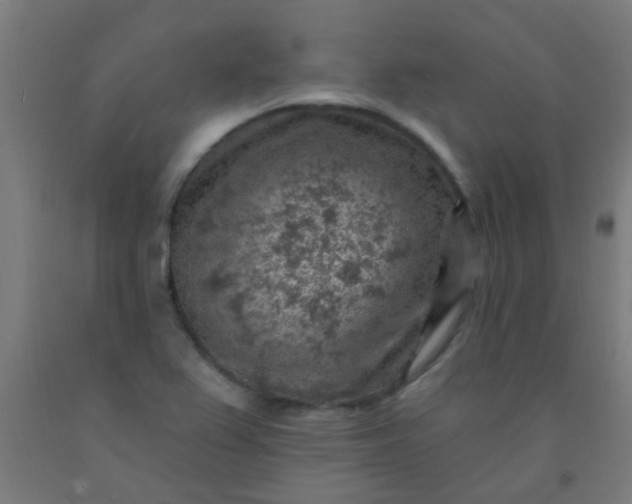 X0000092301367200709281318