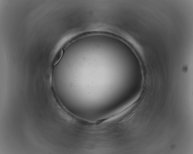 X0000092301368200709281318