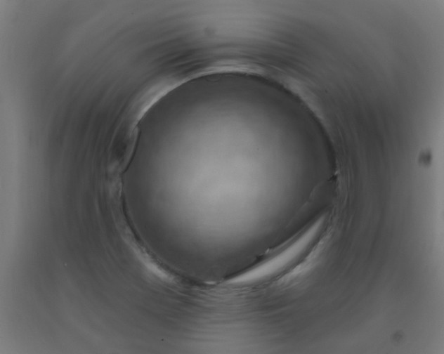 X0000092301369200709281318