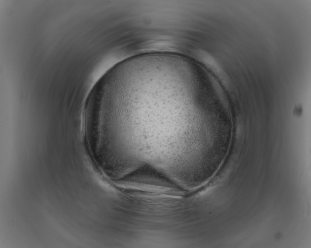 X0000092301370200709281317