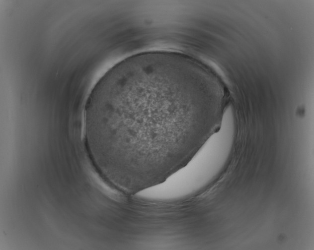 X0000092301371200709281317