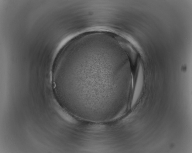 X0000092301372200709281317