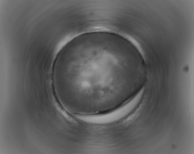 X0000092301373200709281317