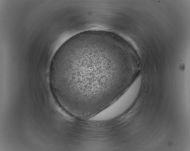 X0000092301375200709281317