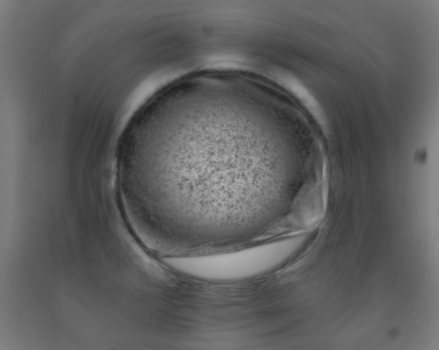 X0000092301376200709281317