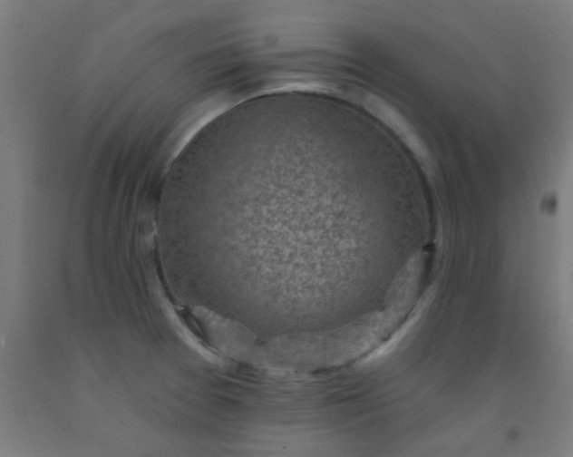 X0000092301377200709281317