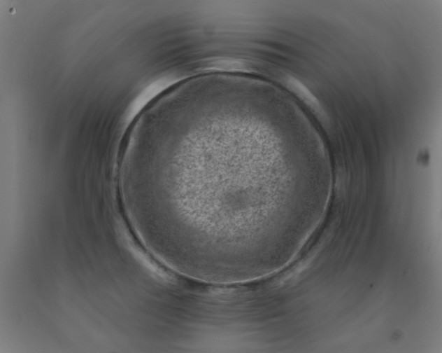 X0000092301378200709281317