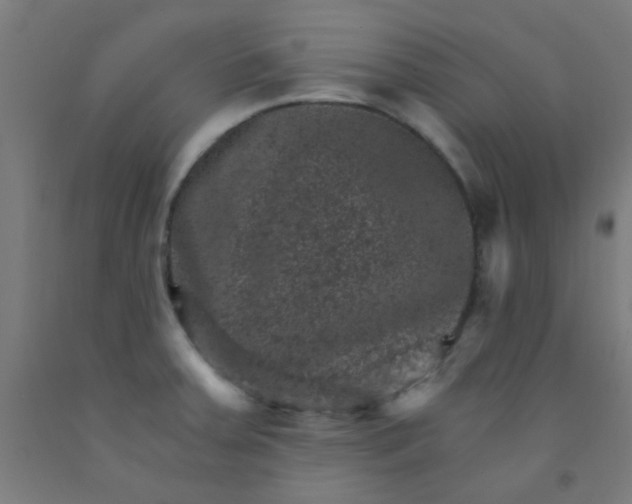 X0000092301379200709281317