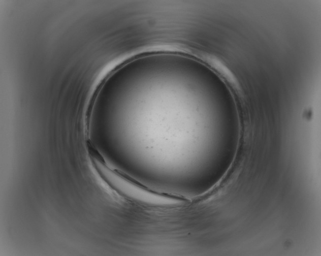 X0000092301380200709281317