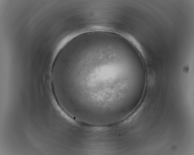 X0000092301381200709281317