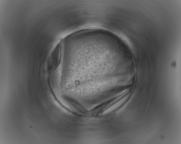 X0000092301382200709281317