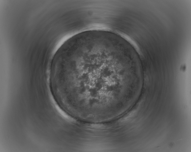 X0000092301383200709281317